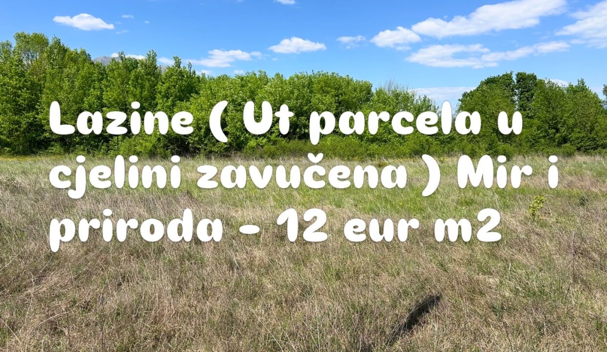 8AA2207C-612D-4931-BCE8-0D63506488EF